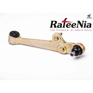 طبق ریو تیبا - چپ ( رفیع نیا )