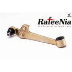 طبق ریو تیبا - چپ ( رفیع نیا )