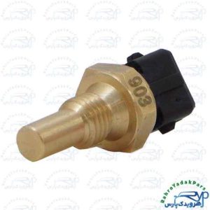 فشنگی دمای آب 405 و پراید 2فیش- زیمنس(مشکی)