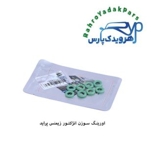 اورینگ انژکتور پراید و پیکان زیمنسی ویژن (VISIUN)