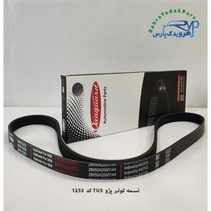 تسمه کولر پژو (5pk 1253 ) / TU5 - ( ونگارد )