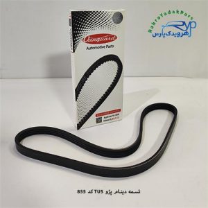 تسمه دینام پژو ( ۴ pk 855 ) / TU5 - ( ونگارد )