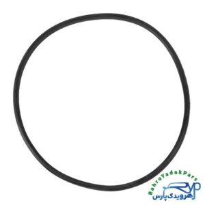 اورینگ درب باک صفر درجه پژو 405