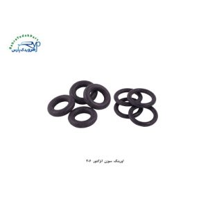 اورینگ سوزن انژکتور 206