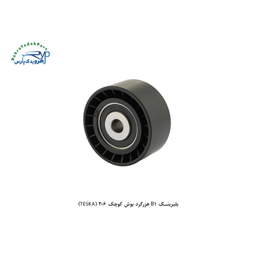بلبرینگ B1 هزرگرد بوش کوچک 206 (TESKA)